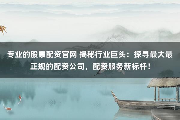 专业的股票配资官网 揭秘行业巨头：探寻最大最正规的配资公司，配资服务新标杆！