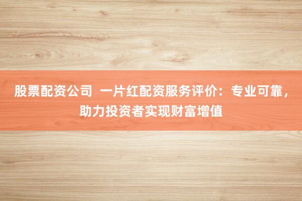 股票配资公司  一片红配资服务评价：专业可靠，助力投资者实现财富增值