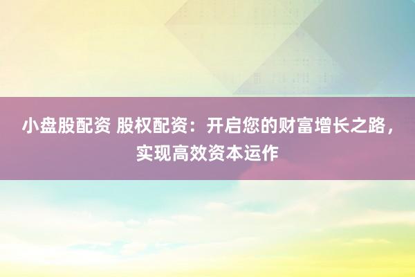 小盘股配资 股权配资：开启您的财富增长之路，实现高效资本运作