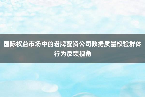 国际权益市场中的老牌配资公司数据质量校验群体行为反馈视角