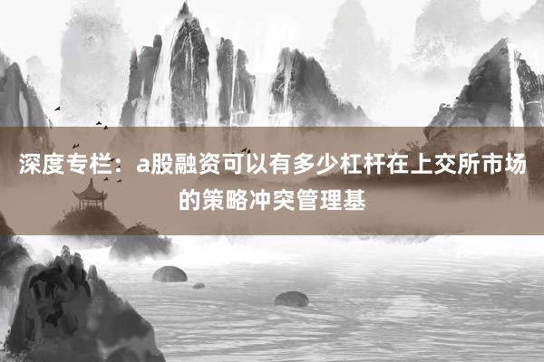 深度专栏：a股融资可以有多少杠杆在上交所市场的策略冲突管理基