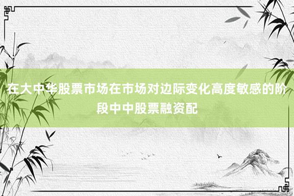 在大中华股票市场在市场对边际变化高度敏感的阶段中中股票融资配