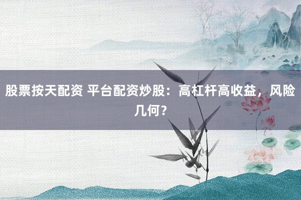 股票按天配资 平台配资炒股：高杠杆高收益，风险几何？