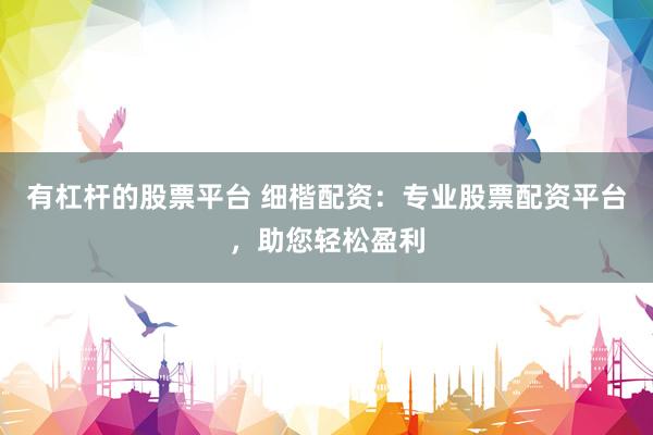有杠杆的股票平台 细楷配资：专业股票配资平台，助您轻松盈利
